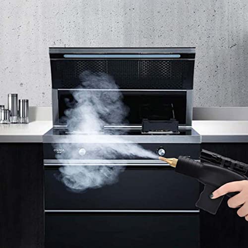 High Pressure Portable Steam Cleaner, 1700W/3000W Handheld High Temp Cleaning Machine, Tankless Heavy Duty for Kitchen, Bathroom, Car Detailing & Furniture Care, 220V