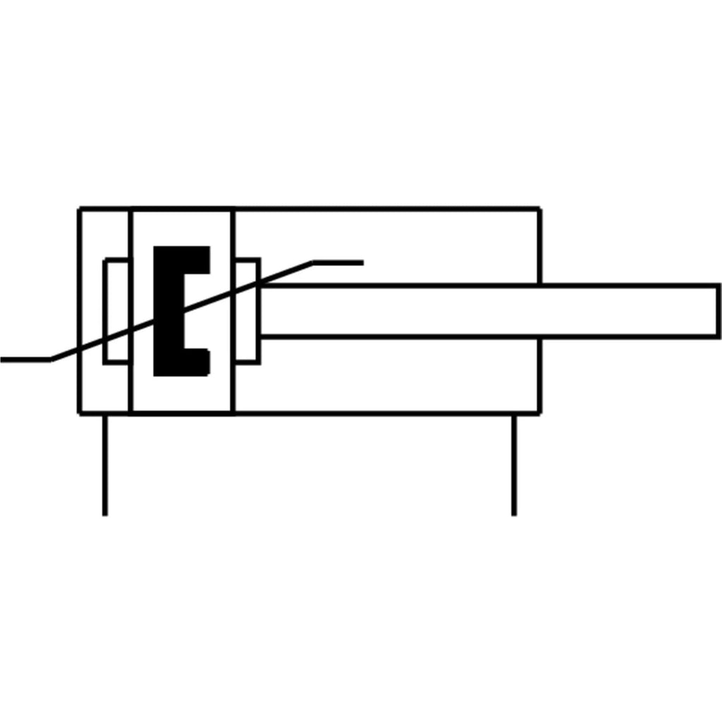 DSNU-40-80-PPS-A 559308 Round Cylinder