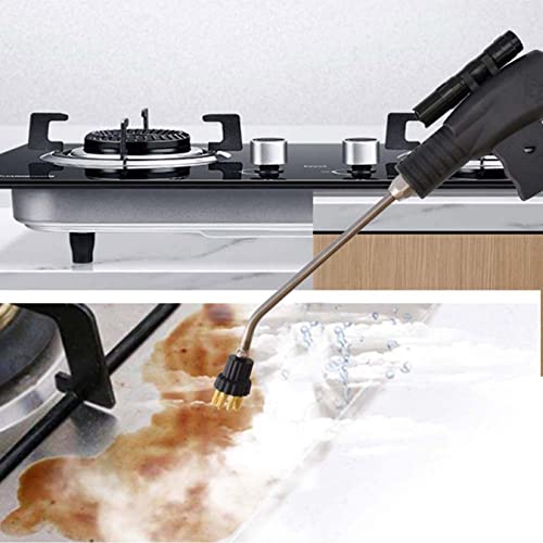 High Pressure Portable Steam Cleaner, 1700W/3000W Handheld High Temp Cleaning Machine, Tankless Heavy Duty for Kitchen, Bathroom, Car Detailing & Furniture Care, 220V