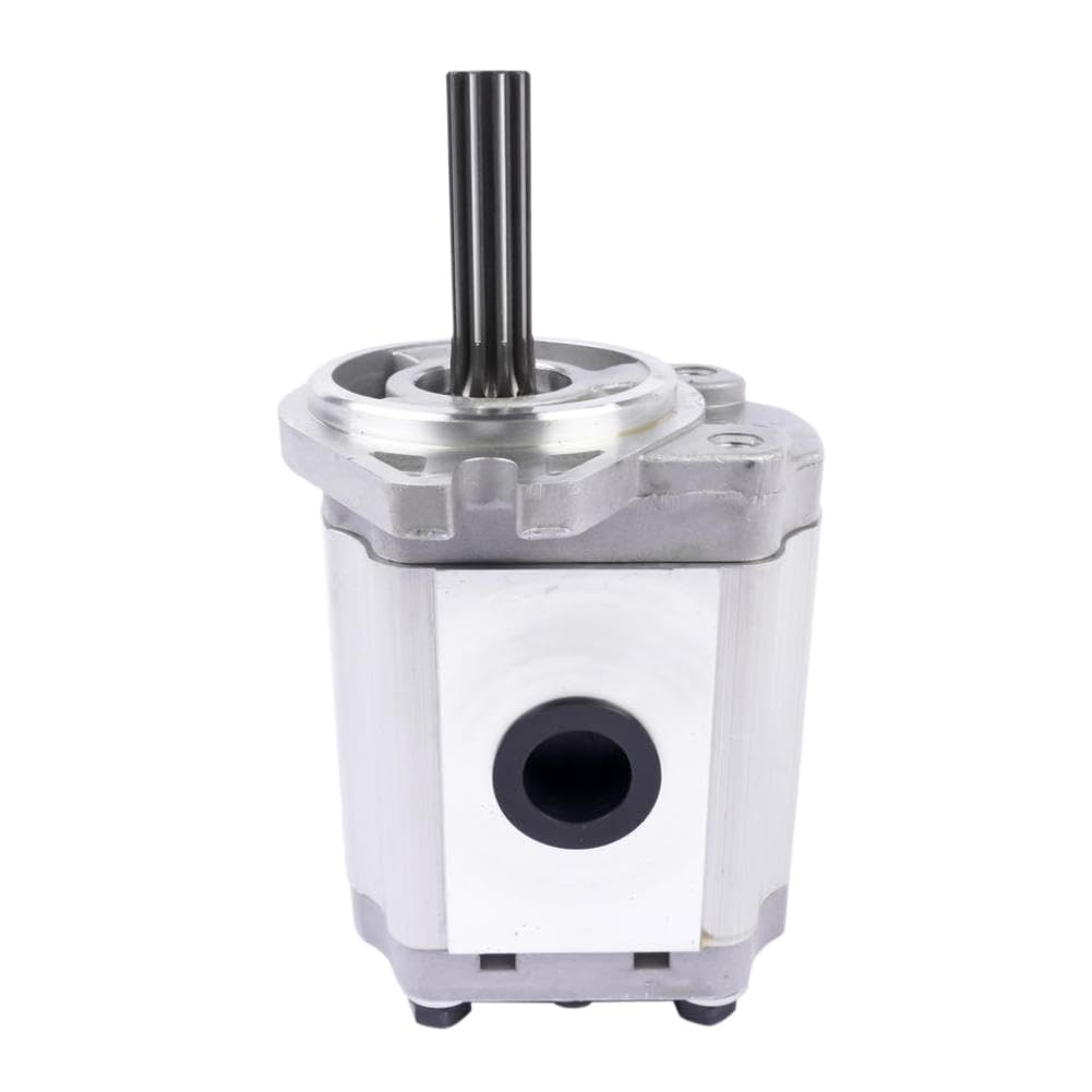 Hydraulic Pump Replacement AP01 91571-02900 Compatible with Forklift GC25 MB9157102900 800138941