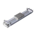 Mechanical rodless Cylinder with Another Element L+110