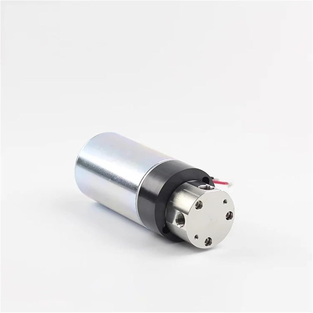 Sewage/Effluent Pumps DC 24V Electric Magnetic Drive High Pressure 5Bar Stainless Steel Gear Pump KGP-308XP 100C 3000CPS Beverage Vending(Kgp-308xp,24V)