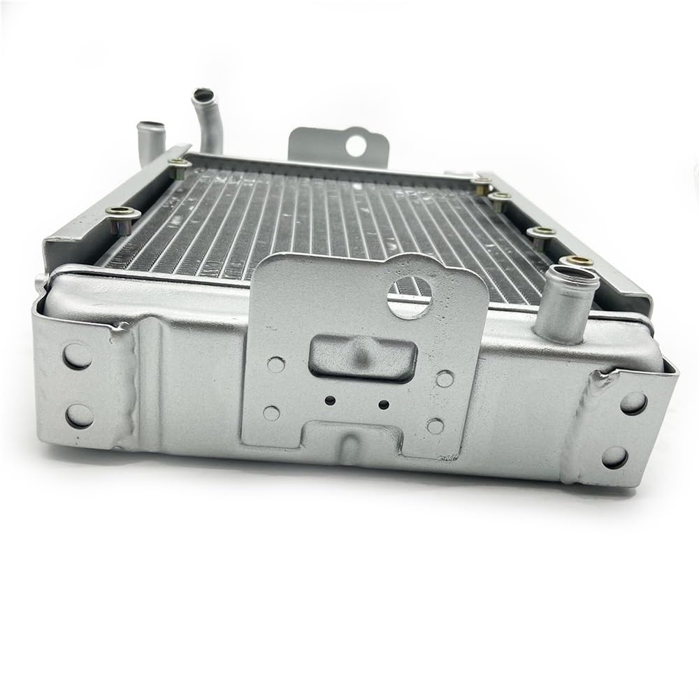 Replace Water Radiator Cooling Machine Fit for 300 LH300 4WD Parts