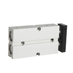 Double Shaft Double Rod Cylinder TDA/TN20/25X10/30/40/60/70/80/100/125/150S(TN20X125-S)