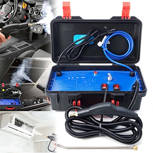 High Pressure Portable Steam Cleaner, 1700W/3000W Handheld High Temp Cleaning Machine, Tankless Heavy Duty for Kitchen, Bathroom, Car Detailing & Furniture Care, 220V