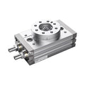 Rotary Pendulum Cylinder MSQB30L3