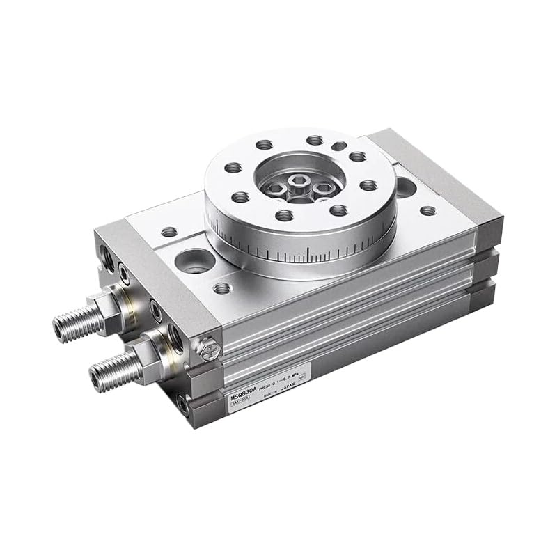Rotary Pendulum Cylinder MSQB20L2