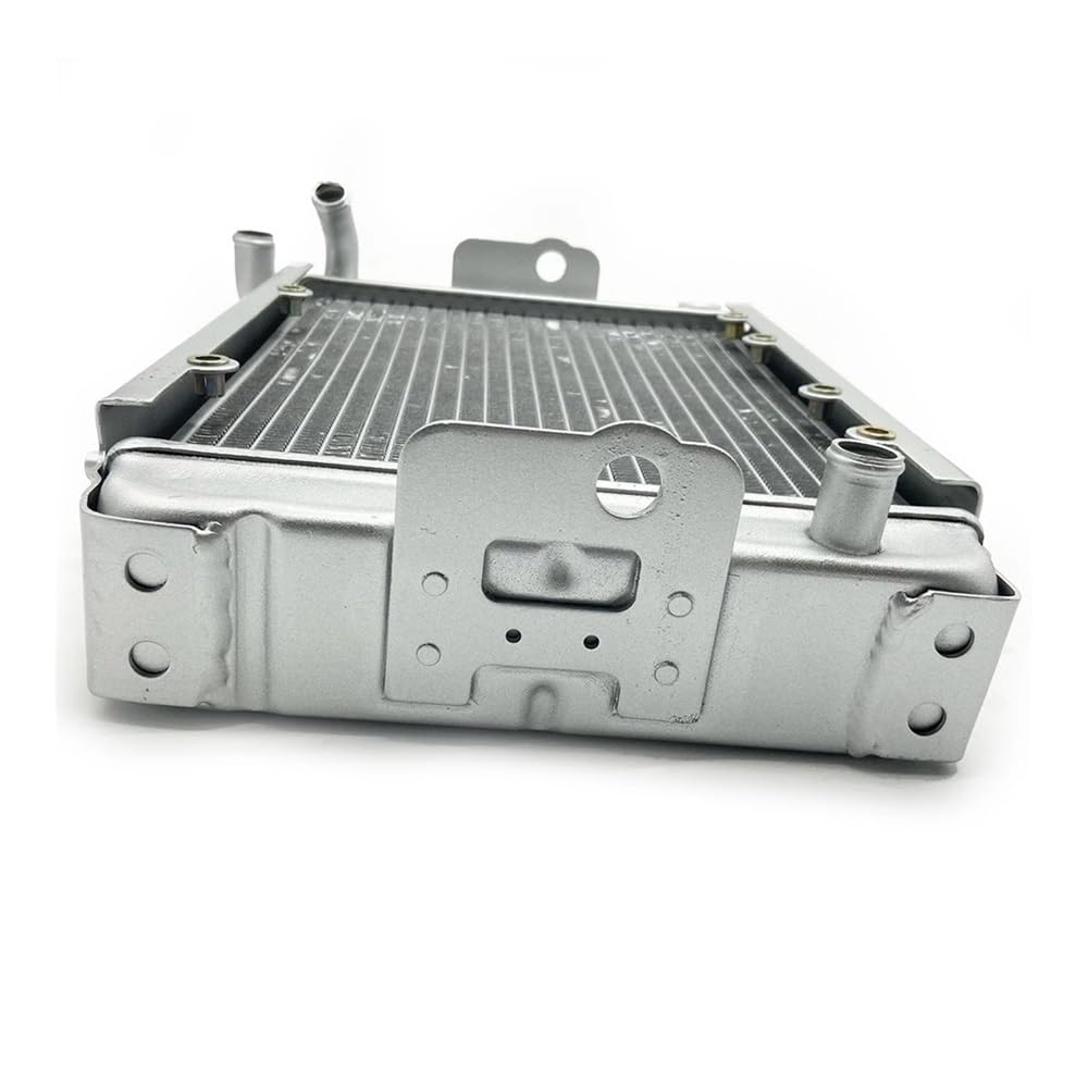 Water Radiator Cooling Machine Fit For LH 300 LH300 CUV 4WD ATV