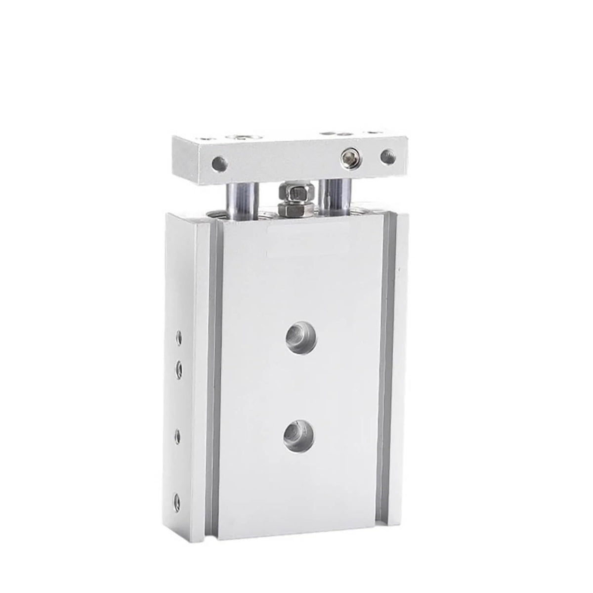 TR16 TR20 TR25 TR32 Series Twin-Rod Cylinder Pneumatic Cylinder Air Cylinder 10-200mm Stroke with Magnet(Stroke 60mm Magnetic,TR16)