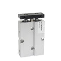 Two Rod Cylinder with Magnet Air Pneumatic Cylinder TN10X70S TN16X75S TN20X80S TN32X90S TN40X100S 50X125S(90mm Stroke)