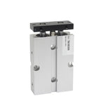 Two Rod Cylinder with Magnet Air Pneumatic Cylinder TN10X70S TN16X75S TN20X80S TN32X90S TN40X100S 50X125S(90mm Stroke)