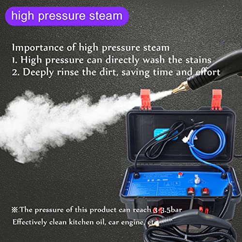 High Pressure Portable Steam Cleaner, 1700W/3000W Handheld High Temp Cleaning Machine, Tankless Heavy Duty for Kitchen, Bathroom, Car Detailing & Furniture Care, 220V