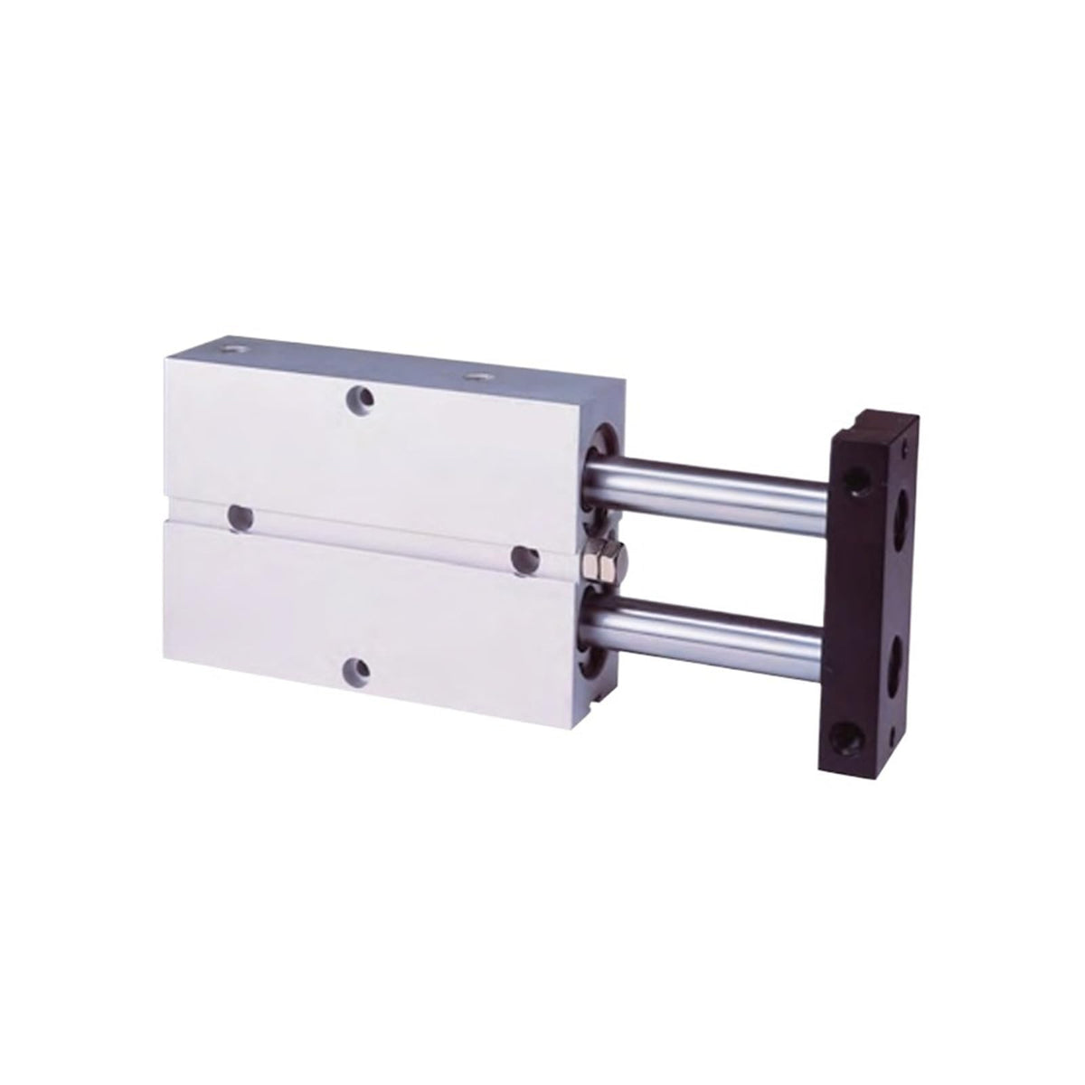 Twin-Rod Cylinder TN32X20S Double-Acting