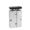 Two-Rod Cylinder Double-Acting Pneumatic Cylinder with Magnet TN25, TN32, TN40(TN40,50mm Stroke)
