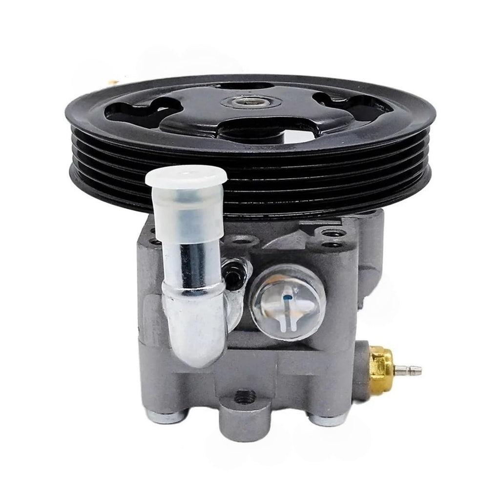 CAARLA Hydraulic Steering Gear Power Steering Pump Assy for Steering Pump 49100-65J00 4910065J00 74204008