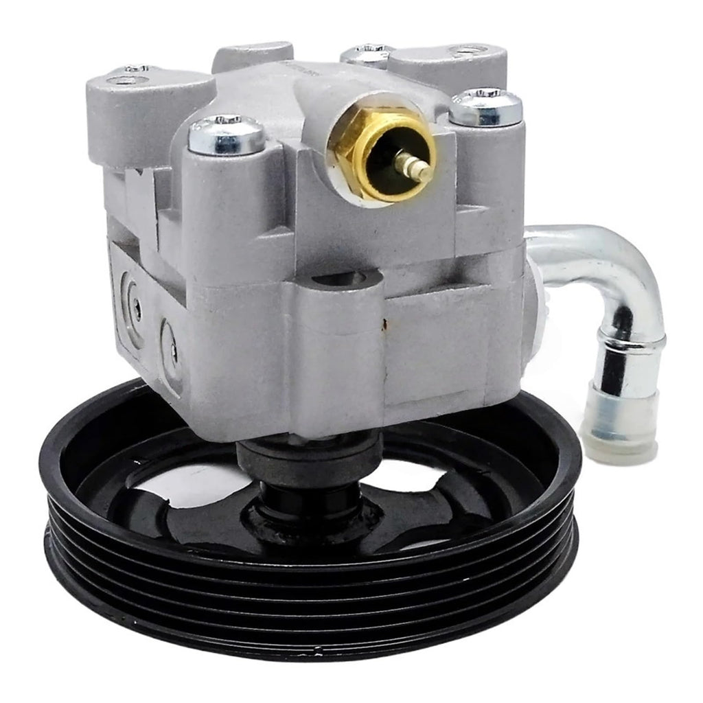 CAARLA Hydraulic Steering Gear Power Steering Pump Assy for Steering Pump 49100-65J00 4910065J00 74204008