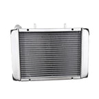 Replace Water Radiator Cooling Machine Fit for 300 400cc LH300 CUV 4WD 22904t 170M-A.11.