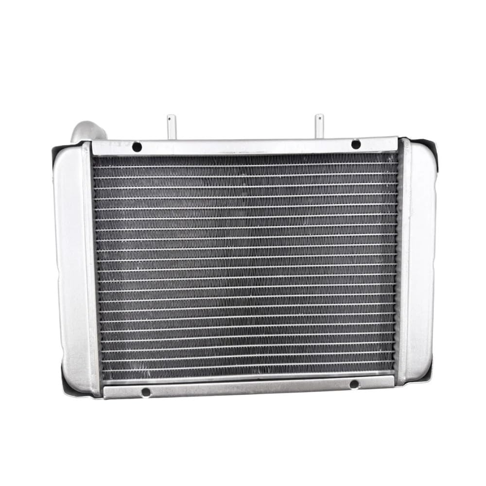 Replace Water Radiator Cooling Machine Fit for 300 400cc LH300 CUV 4WD 22904t 170M-A.11.