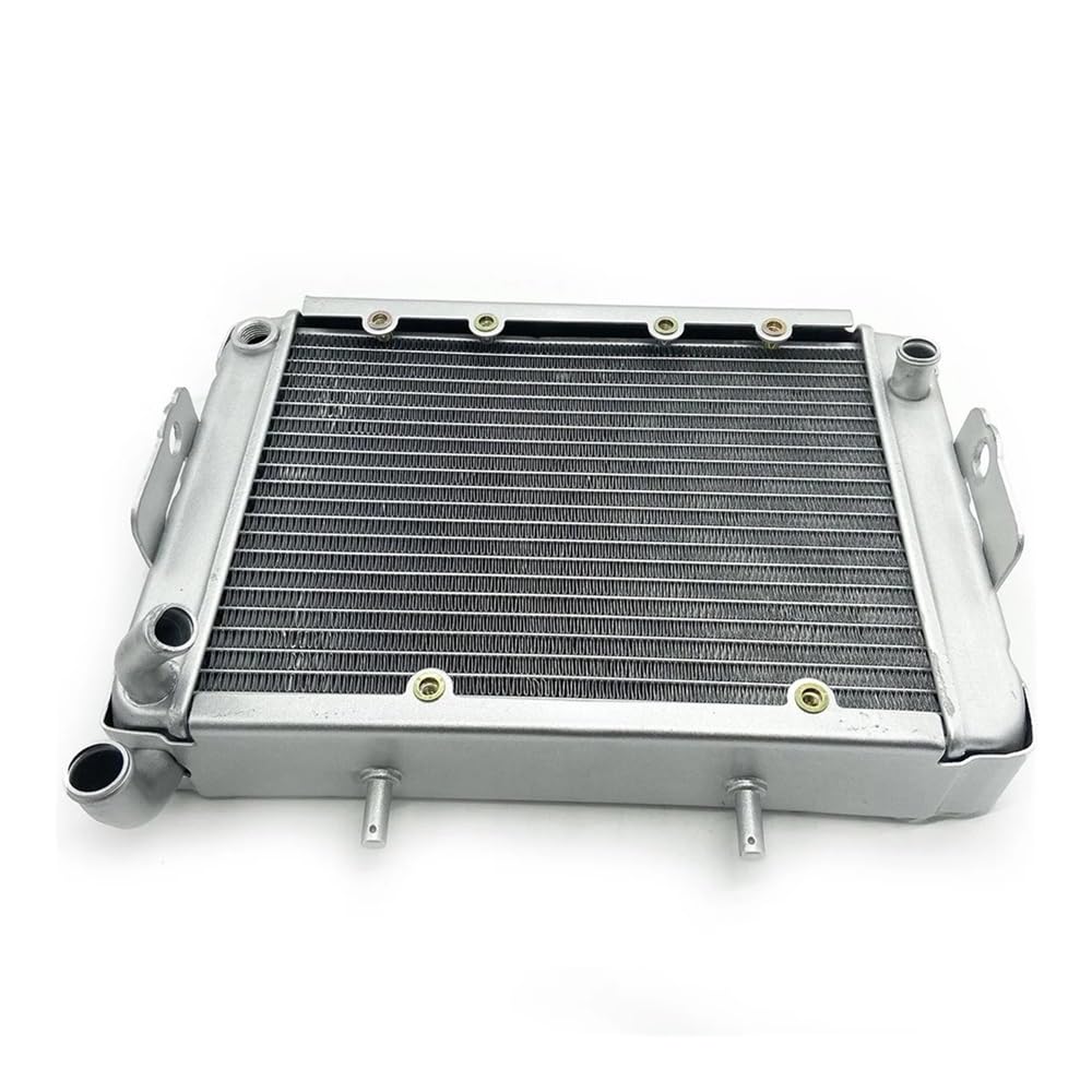 Water Radiator Cooling Machine Fit For LH 300 LH300 CUV 4WD ATV