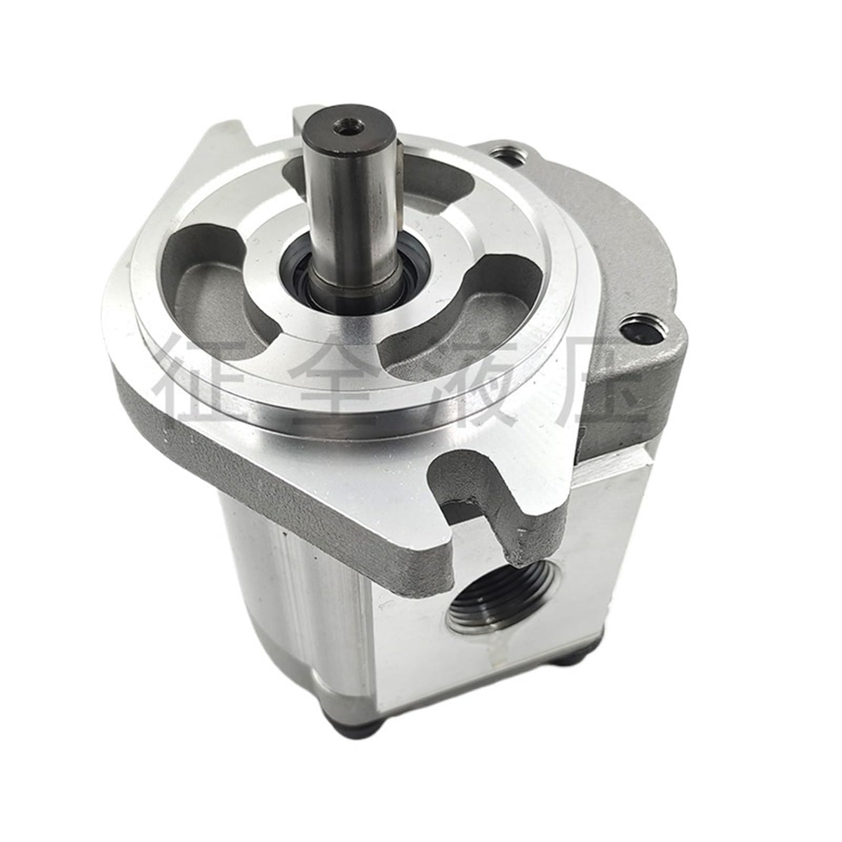 HGP-3A-F13R Single High Pressure Gear Pump Hydraulic Gear Pump with Manual Pressure Regulating Valve Gear Oil Pump(HGP-3A-F13R)