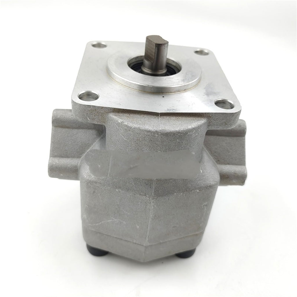 Hydraulic Gear Pump High Pressure Oil Flat Key Customized Thread Hardware Auto Machinery PT3/8 HGP-2A-F2-12R(HGP-2A-F11R)