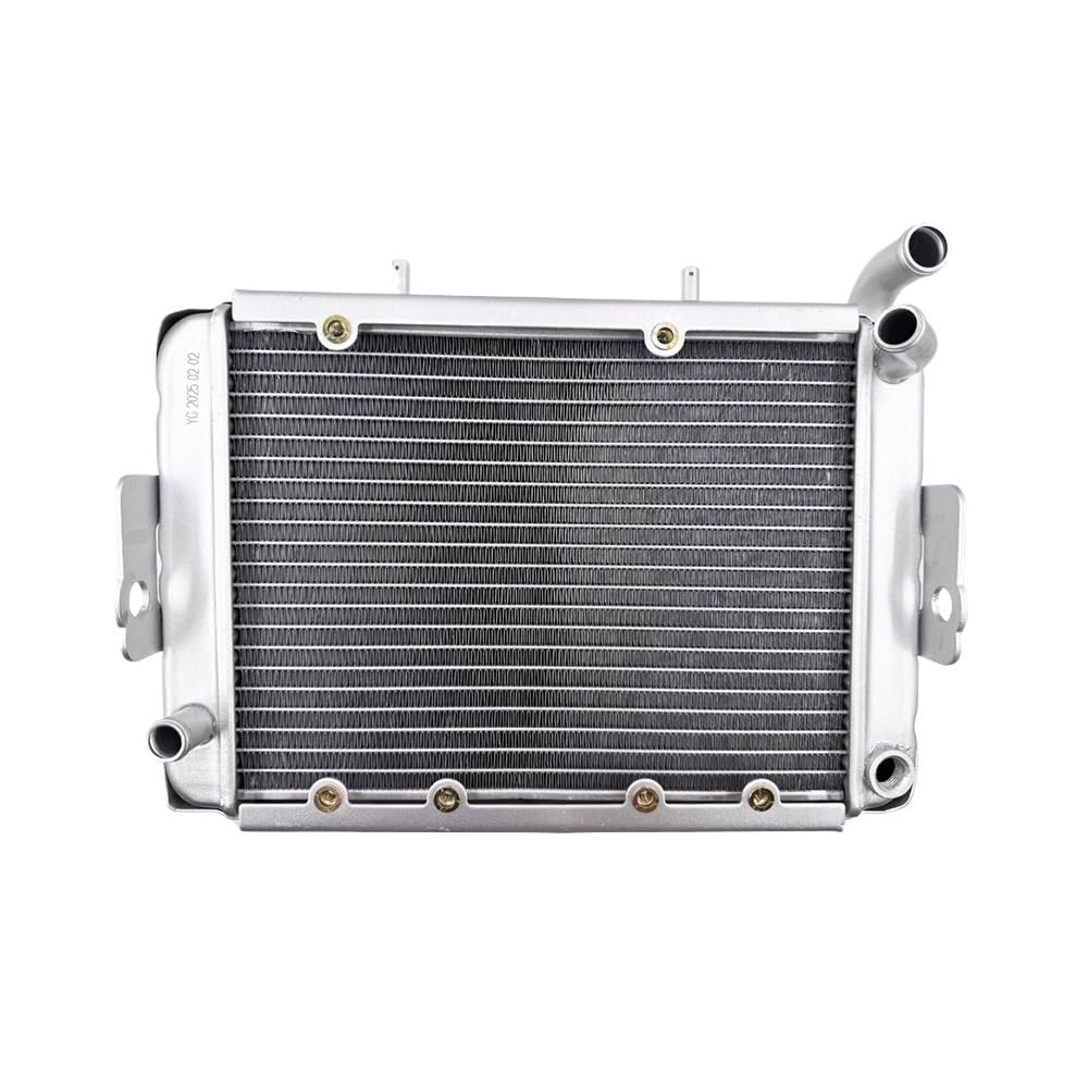 Replace Water Radiator Cooling Machine Fit for 300 400cc LH300 CUV 4WD 22904t 170M-A.11.