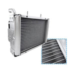 Replace Water Radiator Cooling Machine Fit for 300 400cc LH300 CUV 4WD 22904t 170M-A.11.