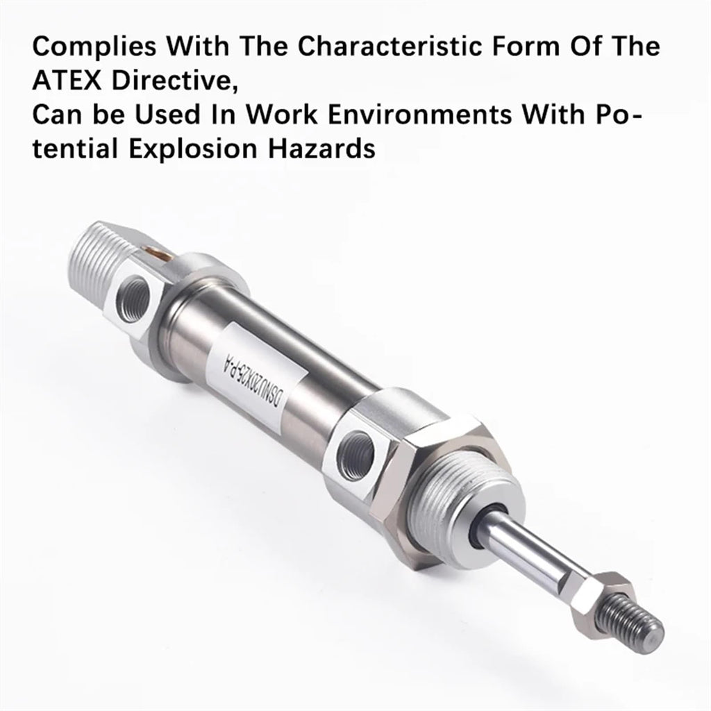 DSNU Stainless Steel Double Acting Mini Pneumatic DSNU32 25 * 50X75X80X100-P-A Air Cylinder 1PCS(Stroke 250mm)