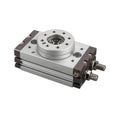 MSQB10A MSQB20A MSQB30R MSQB50R Rotary Pneumatic Cylinder MSQB50A Adjustable 0-190 Degrees 1Pcs(MSQB-50A)