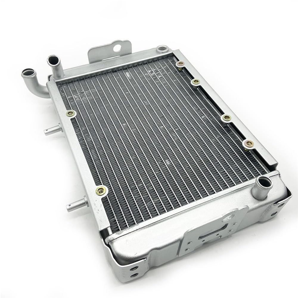 Water Radiator Cooling Machine Fit for 300 LH300 4WD Parts