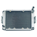 Replace Water Radiator Cooling Machine Fit for 300 400cc LH300 4WD OEM 22904t 170M-A.11.