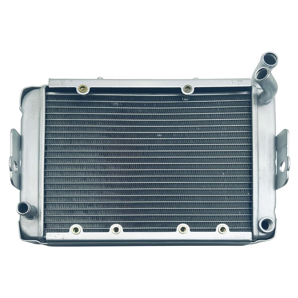 Replace Water Radiator Cooling Machine Fit for 300 400cc LH300 4WD OEM 22904t 170M-A.11.