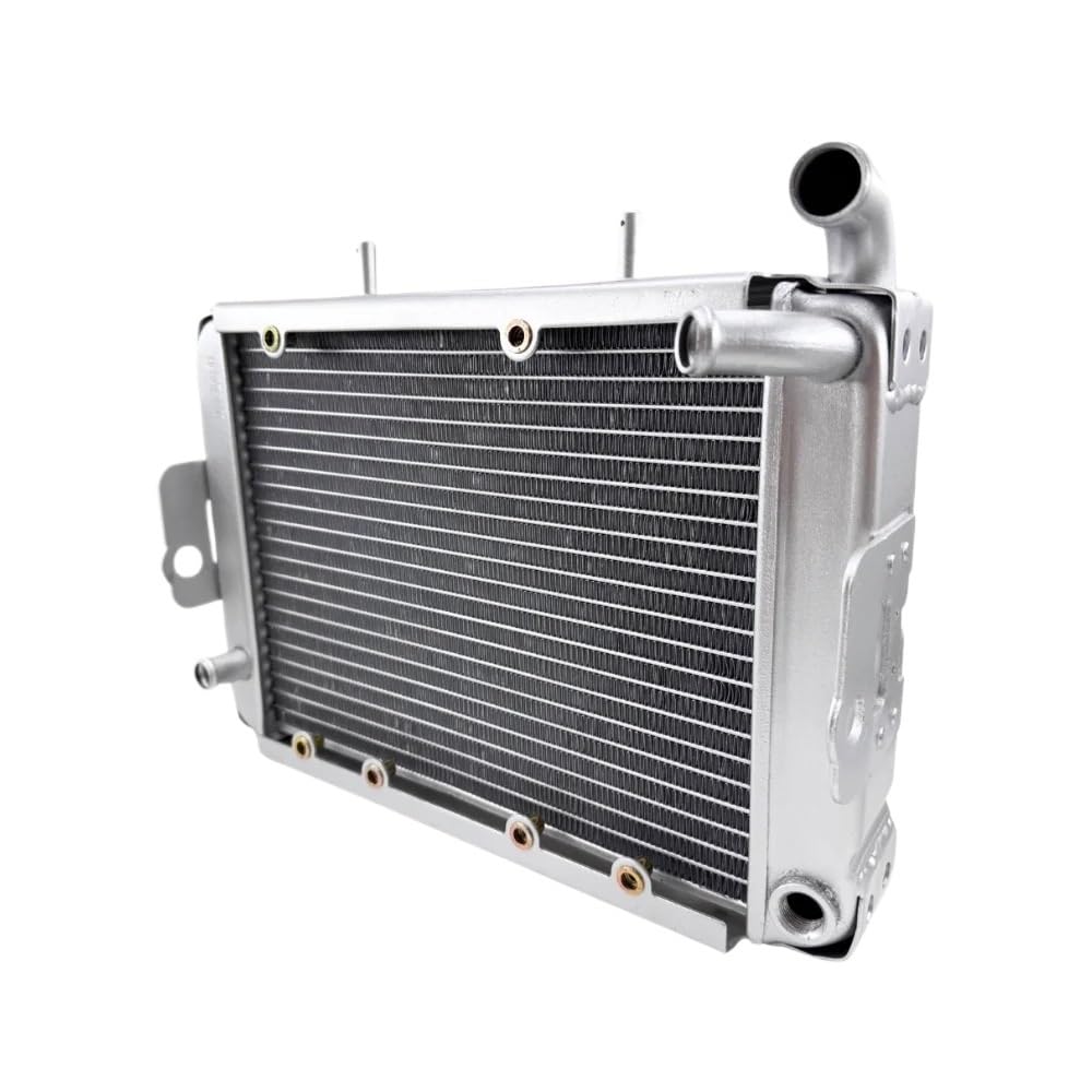 Replace Water Radiator Cooling Machine Fit for 300 400cc LH300 CUV 4WD 22904t 170M-A.11.