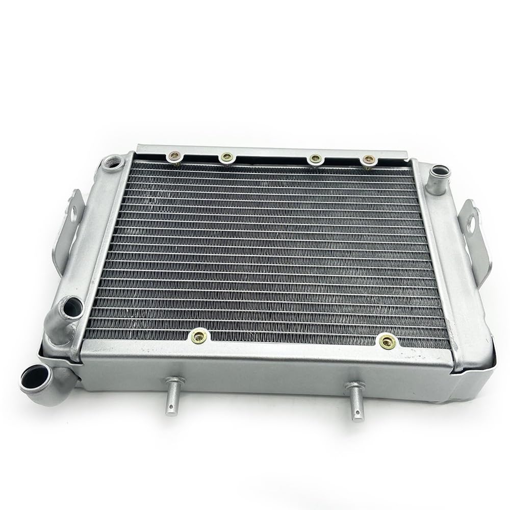 Water Radiator Cooling Machine Fit for 300 LH300 4WD Parts
