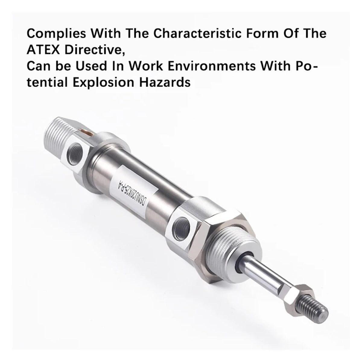 DSNU Stainless Steel Double Acting Mini Pneumatic DSNU16 25 * 50X75X80X100-P-A Air Cylinder(Stroke 275mm)