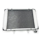 Water Radiator Cooling Machine Fit For LH 300 LH300 CUV 4WD ATV