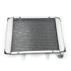 Water Radiator Cooling machine fit for L-NHAI 300 ATV L-nhai LH300 CUV 4WD