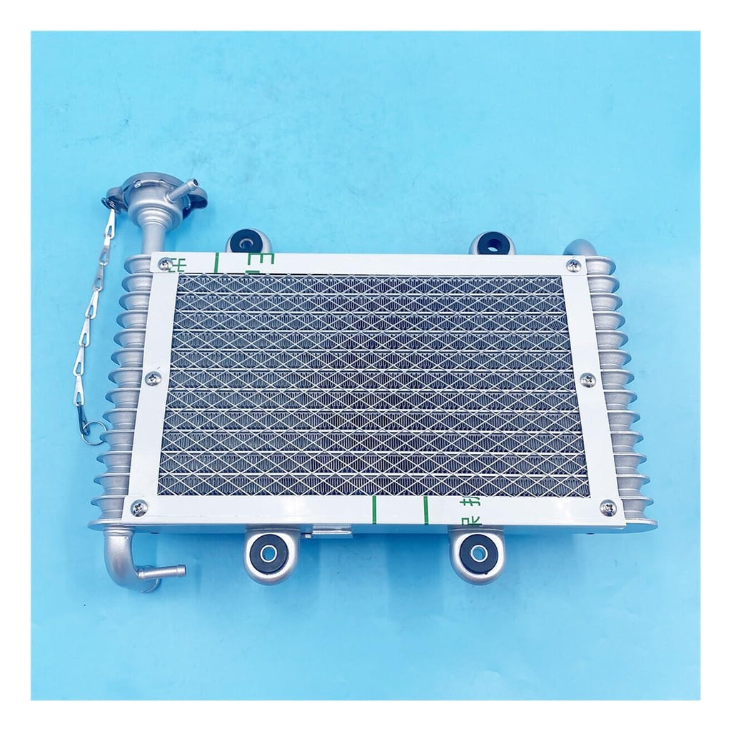 OEM Water Colling Assy Fit For Bashan 200cc 250cc BS200 BS200S-7 ATV Quad