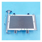 OEM Water Colling Assy Fit For Bashan 200cc 250cc BS200 BS200S-7 ATV Quad