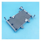 OEM Water Colling Assy Fit For Bashan 200cc 250cc BS200 BS200S-7 ATV Quad