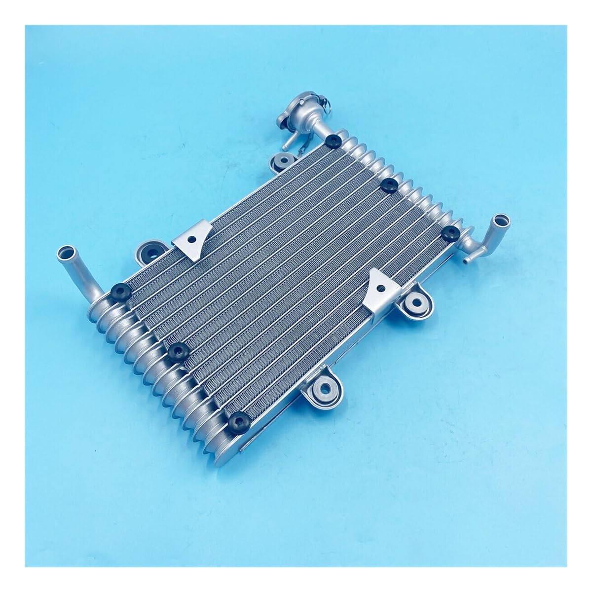 OEM Water Colling Assy Fit For Bashan 200cc 250cc BS200 BS200S-7 ATV Quad
