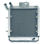 Replace Water Radiator Cooling Machine Fit for 300 400cc LH300 4WD OEM 22904t 170M-A.11.