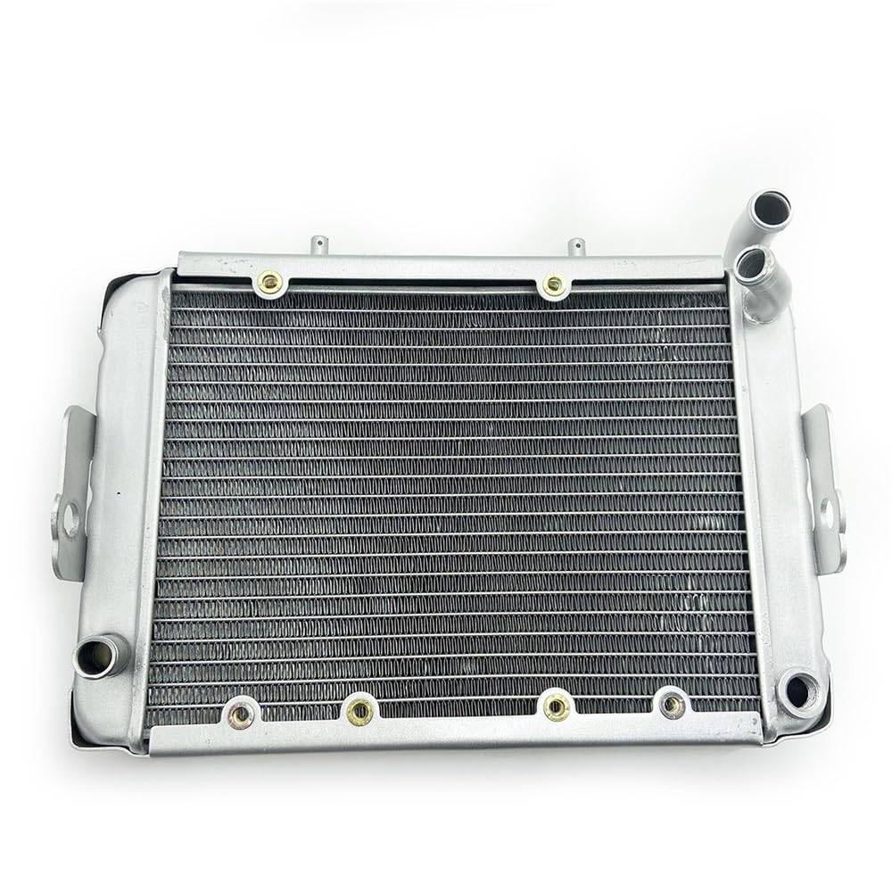 Replace Water Radiator Cooling Machine Fit for 300 LH300 4WD Parts