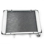 Replace Water Radiator Cooling Machine Fit for 300 LH300 4WD Parts