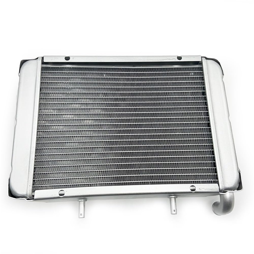 Replace Water Radiator Cooling Machine Fit for 300 LH300 4WD Parts