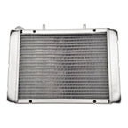 Replace Water Radiator Cooling Machine Fit for 300 400cc LH300 4WD 22904t 170M-A.11.